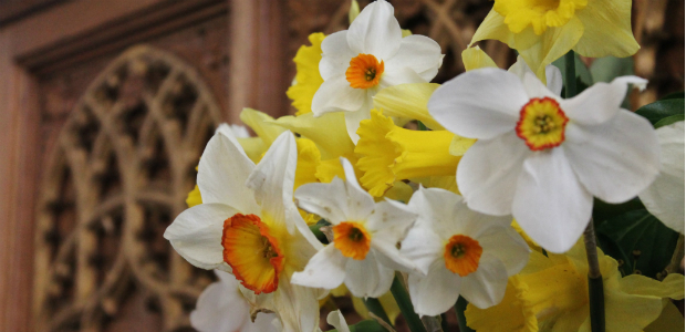 Wishing you a very happy and blessed Easter