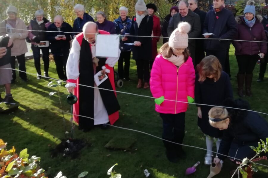 Churchyard orchard project looks set to bear fruit