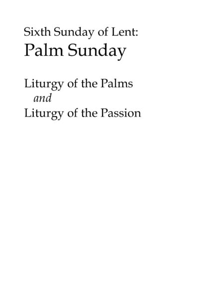 New Experimental Rite for Palm Sunday