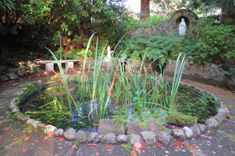 Latest SEI Newsletter highlights green matters