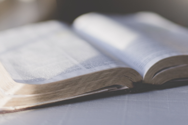 Reading the Bible like an Episcopalian lecture series now available online