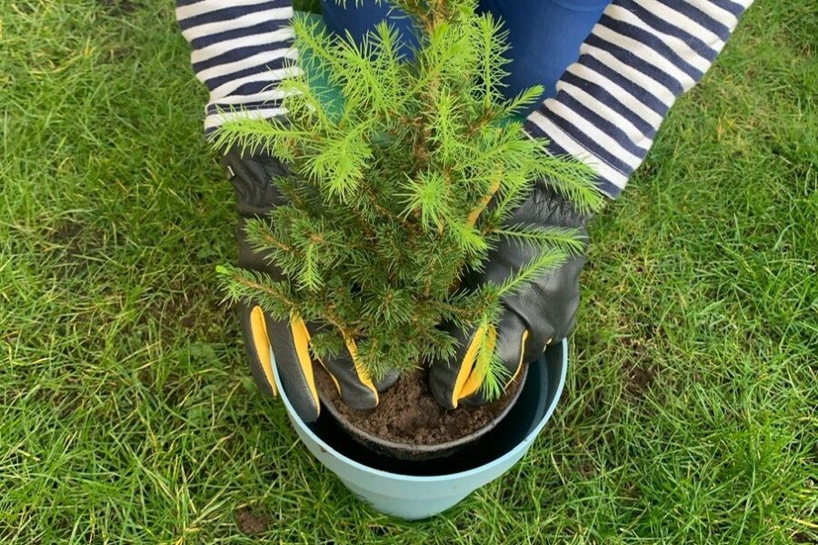 Green shoots of growth in latest SEI Newsletter