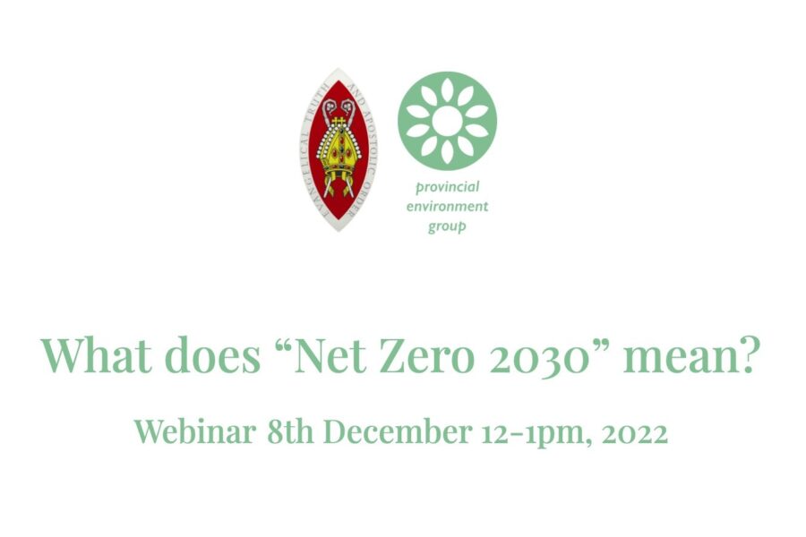 Net Zero 2030 webinar available to watch again